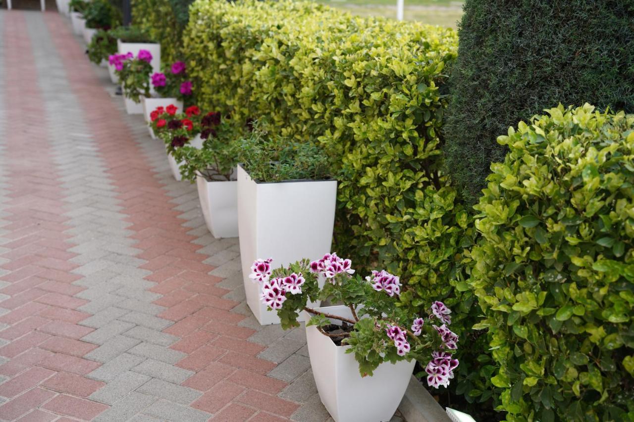 Apartments Costa Azzurra Velipojë Zewnętrze zdjęcie